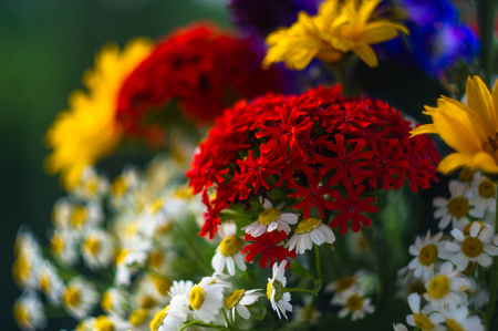 a colorful bouquet of bright spring flowers of various types, close-upの写真素材