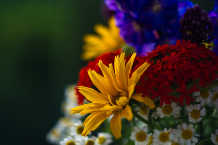 a colorful bouquet of bright spring flowers of various types, close-upの写真素材
