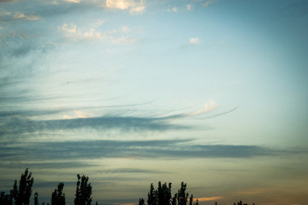 landscape with dramatic light - orange clouds and the outline of trees at sunsetの写真素材