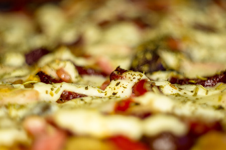 homemade pizza with peppers, plums, ham, sausage, cheese and spices, closeup selective focusの写真素材