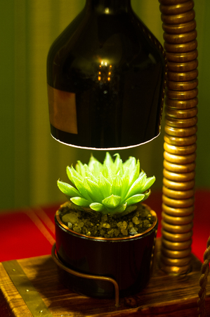 Light fixture handmade - stand for flower pot in vintage style, wooden case, copper fittings, led lamp on a black background.の写真素材