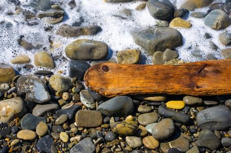 driftwood, washed up by the sea on a pebble beach on a warm summer dayの写真素材