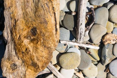 driftwood, washed up by the sea on a pebble beach on a warm summer dayの写真素材