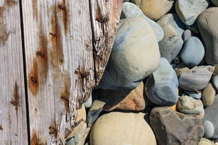 driftwood, washed up by the sea on a pebble beach on a warm summer dayの写真素材