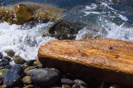 driftwood, washed up by the sea on a pebble beach on a warm summer dayの写真素材