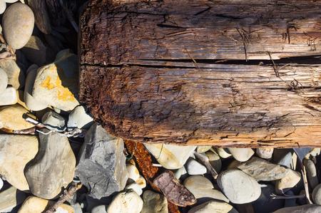 driftwood, washed up by the sea on a pebble beach on a warm summer dayの写真素材