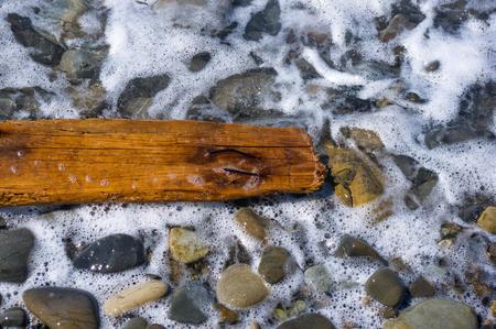 driftwood, washed up by the sea on a pebble beach on a warm summer dayの写真素材