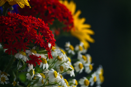 a colorful bouquet of bright spring flowers of various types, close-upの写真素材
