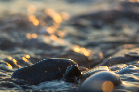Pebble stones on the sea beach on a warm summer day, the rolling waves of the blue sea with white foamの写真素材