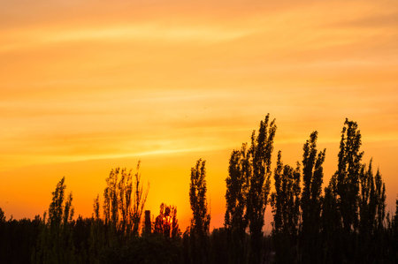 Landscape with dramatic light - beautiful golden sunset with saturated sky and clouds, peaceful nature serene background.の写真素材