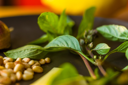 Fresh ingredients for preparing Italian pesto sauce - lemon basil sprigs, peeled seeds of cedar nuts, large garlic clove, Greek olive oil, Parmesan cheese, on a ceramic plate, in scattered sunlightの写真素材