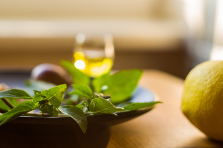 Fresh ingredients for preparing Italian pesto sauce - lemon basil sprigs, peeled seeds of cedar nuts, large garlic clove, Greek olive oil, Parmesan cheese, on a ceramic plate, in scattered sunlightの写真素材
