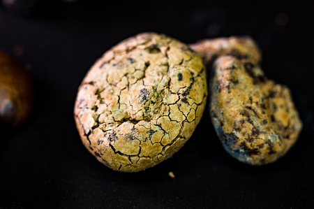 Untreated cocoa beans on black background, close-up, macroの写真素材