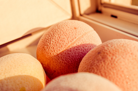 Frozen oranges and lemons on a red plate, covered in frost, illuminated by the sunの写真素材