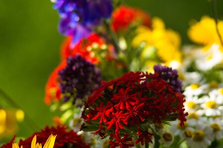 a colorful bouquet of bright spring flowers of various types, close-upの写真素材