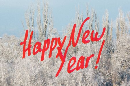 New Year Concept postcard. Winter urban landscape - snow covered trees on foggy background and...