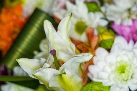 Beautiful gift bouquet of various colorful decorative summer flowers, close-up