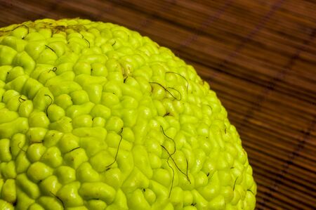 Green fruit of maclura pomifera, osage orange, horse apple, adam apple grow on bamboo mat, macro, close upの写真素材