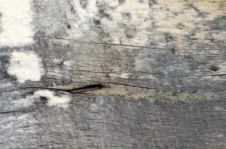 texture of old shabby rustic wooden fence made of planks, with rusty nails, close-up, grunge backgroundの写真素材