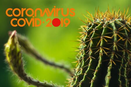 Concept background for news about the novel coronavirus COVID-19 - text and symbol. Chinese coronavirus outbreak, Middle East respiratory syndrome coronavirus.の写真素材