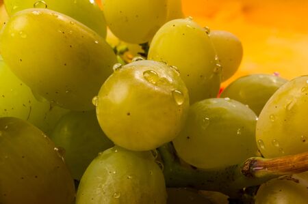 still life - a large brush of green grapes with water drops in a red ceramic plate on a wooden backgroundの写真素材