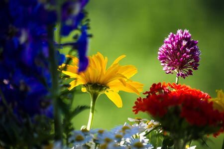 a colorful bouquet of bright spring flowers of various types, close-upの写真素材