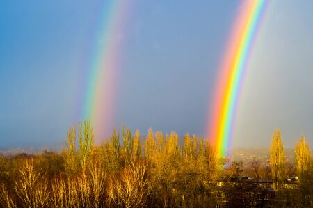 Natural double rainbow over green trees, city landscapeの写真素材