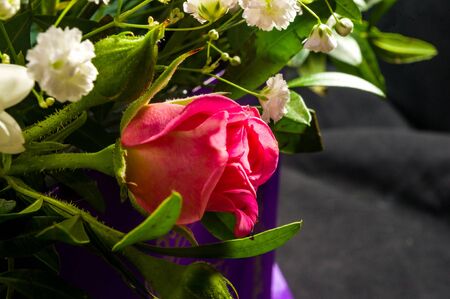 Background for a greeting card - beautiful gift bouquet of various blooming bright colorful decorative summer flowersの写真素材