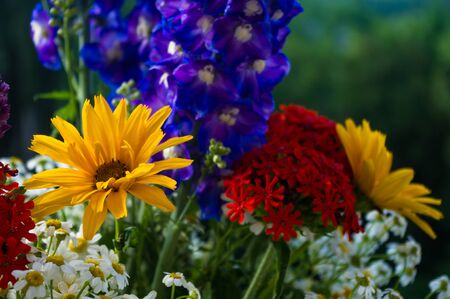 a colorful bouquet of bright spring flowers of various types, close-upの写真素材