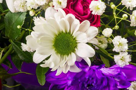 Background for a greeting card - beautiful gift bouquet of various blooming bright colorful decorative summer flowersの写真素材