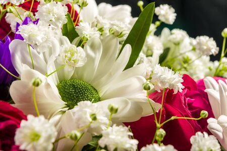 Background for a greeting card - beautiful gift bouquet of various blooming bright colorful decorative summer flowersの写真素材