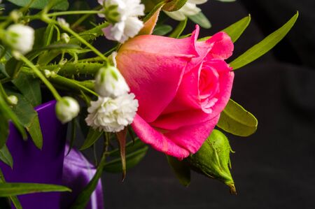 Background for a greeting card - beautiful gift bouquet of various blooming bright colorful decorative summer flowersの写真素材
