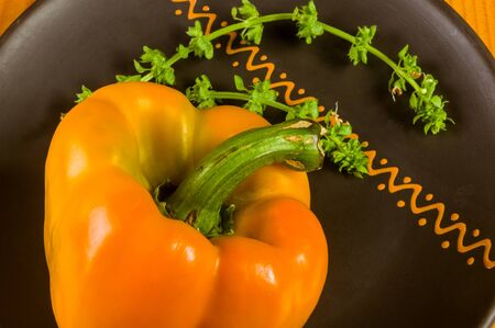 a freshest yellow paprika, bell pepper in ceramic plate with basil flowers on wooden background, close upの写真素材