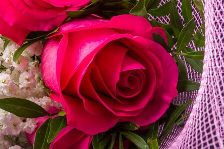 Background for a greeting card - a bouquet of bright fresh red roses in a festive packageの写真素材