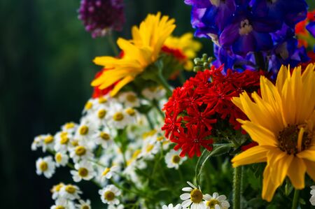 a colorful bouquet of bright spring flowers of various types, close-upの写真素材