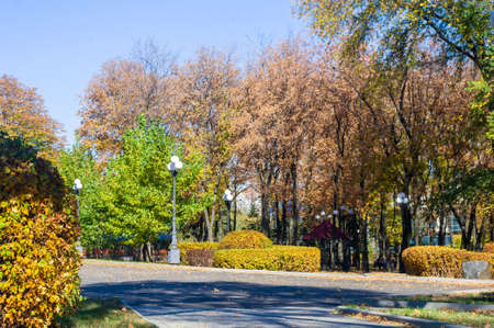 Autumn cityscape on a Sunny day - yellow autumn trees in the Park, colorful red and orange leaves, and bright sky with cloudsの写真素材