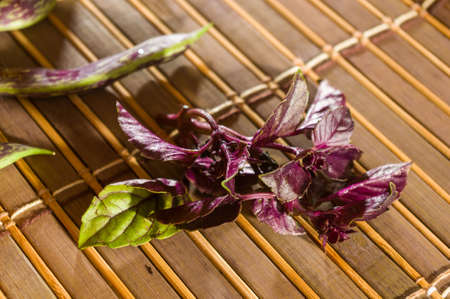 Still life - asparagus beans, purple Basil on bamboo Matの写真素材