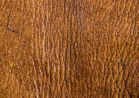 Old vintage genuine soft brown leather texture background, top layer with pores and scratches, macroの写真素材
