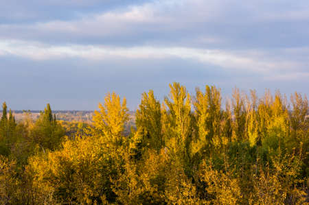 Autumn cityscape on a Sunny day - yellow and colorful autumn trees, the sky with clouds with autumn hazeの写真素材