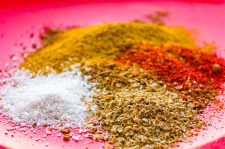 Spices - red paprika, ground coriander, salt and turmeric on a red plate, close upの写真素材