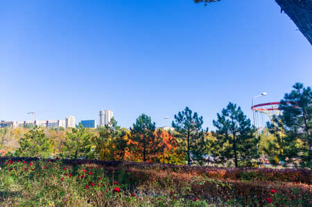 Autumn cityscape on a Sunny day - yellow autumn trees in the Park, colorful red and orange leaves, and bright sky with cloudsの写真素材