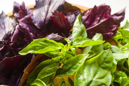 fresh green and purple basil leaves for healthy cooking, herbs and spices on wooden cutting board,...