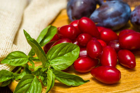 Still life - fresh large dogwood berries, purple plums and a sprig of basil on a wooden board, close upの写真素材
