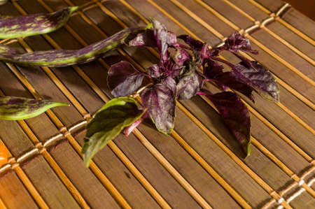 Still life - asparagus beans, purple Basil on bamboo Matの写真素材