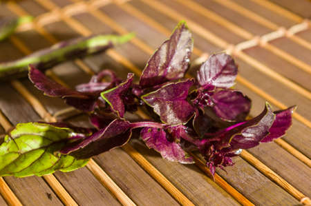 Still life - asparagus beans, purple Basil on bamboo Matの写真素材