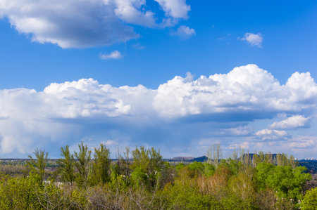 Spring landscape - bright green trees with young foliage on a bright warm sunny day in early spring.の写真素材
