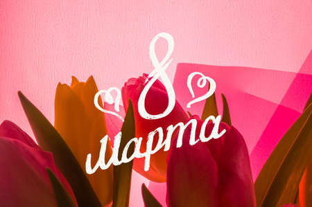 Greeting card - a bouquet of fresh spring pink and yellow tulips, holiday greetings, handwritten inscription with a brush 8 march, greeting lettering, russian text. Text translation - 8 march.の写真素材