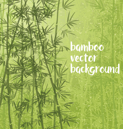 Bamboo forest background with copy space.のイラスト素材