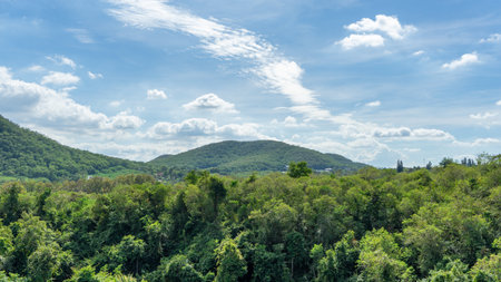 landscape location photography There are many big mountains. Below is an overgrown forest filled...