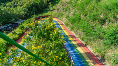 Image of the rainbow-colored ramp at the bottom of the cable car. In the part that is the U-turn curve, go back the same way. In the center there was a cluster of yellow flowers.の写真素材